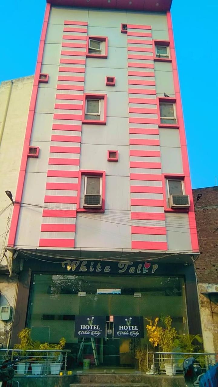 Hotel White Tulip Αμριτσάρ Εξωτερικό φωτογραφία